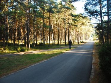 Działka siedliskowa na sprzedaż Krzyż, Xxx, XXX, Xxx 12 001m2 Foto 5