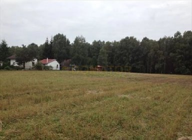 Działka budowlana na sprzedaż Niemcz 1 028m2 Foto 3