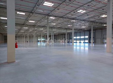 lokal użytkowy na wynajem 5000m2 lokal użytkowy Rzeszów, Technologiczna