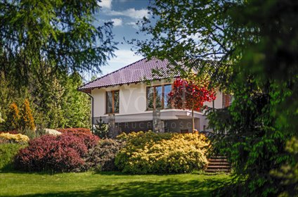 dom na sprzedaż 467m2 dom Okole