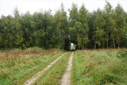 Działka budowlana na sprzedaż Ślepowron, Ślepowron 1 247m2 Foto 3
