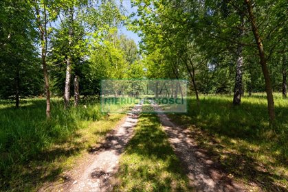 Działka siedliskowa z projektem rezydencji, wzgórzem i infrastrukturą działka Pieńki Zarębskie