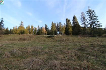 działka na sprzedaż 4290m2 działka BRZEGI