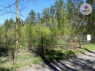 Działka rolna na sprzedaż Olsztyn, Gutkowo, Gutkowo 3 673m2 Foto 3