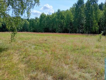 Duża działka 8800 m² z lasem, cisza i spokój, rekreacja działka Holendry