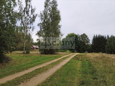 Sprzedam działkę 1500 m² z lasem, prąd, asfalt, Ojrzanów działka Ojrzanów