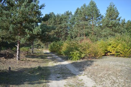 działka na sprzedaż 1183m2 działka Przyłęk