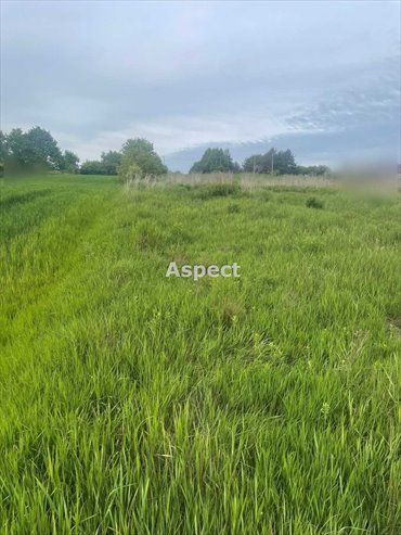 działka na sprzedaż 761m2 działka Wodzisław Śląski, Turzyczka