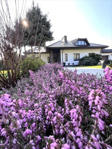 dom na sprzedaż 290m2 dom Motaniec