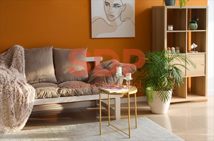 mieszkanie na sprzedaż 53m2 mieszkanie Wrocław, Stare Miasto, Świdnicka