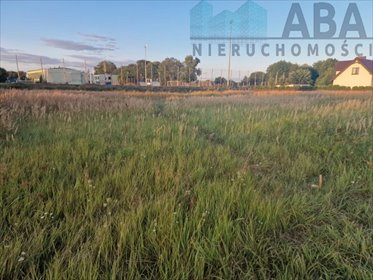 Na sprzedaż działka 798 m² w Budzisławiu Kościelnym działka Budzisław Kościelny, Wiosenna