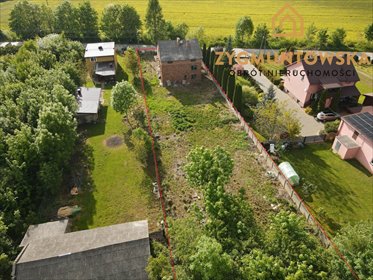 działka na sprzedaż 11690m2 działka Białaczów, Białaczów, Białaczów