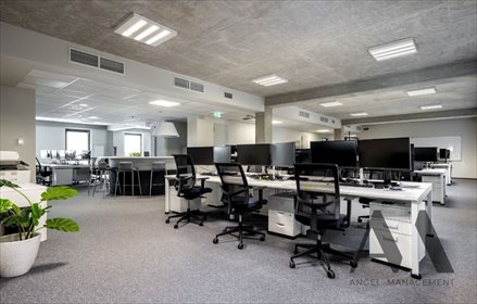 lokal użytkowy na wynajem 320m2 lokal użytkowy Kraków, Stare Miasto, Stare Miasto