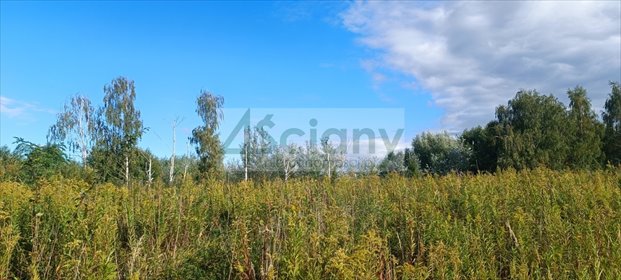 Działka 1800 m² w Michałowicach-Wieś zapraszam działka Michałowice-Wieś