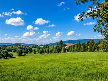 Na sprzedaż działka 2760 m² z widokiem na Beskidy i mediami działka Lipowa