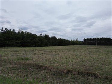 działka na sprzedaż 17700m2 działka Stanisławowo