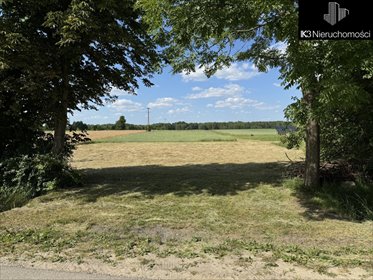 Działka 1,21 ha z warunkami zabudowy i dostępem do drogi działka Czarna