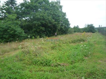 działka na sprzedaż 1000m2 działka Sierzchów, Sierzchów