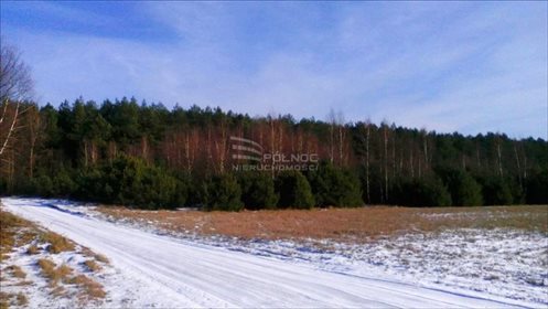 Działka leśna na sprzedaż Żdżary 36 600m2 Foto 3