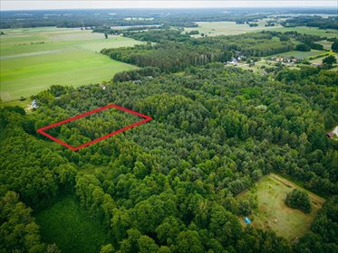 Działka 3960 m2 pod budowę domu z własnym lasem! działka Pelagia, Zagłoby