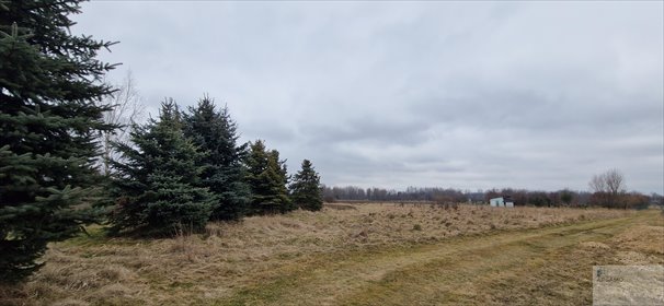 Działka rolna nad strumykiem w Bieruniu - zapraszam działka Bieruń, Starowiślana