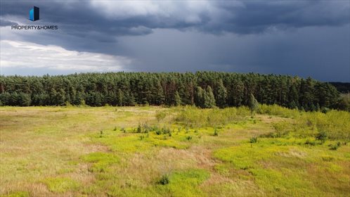 Działka rolna na sprzedaż Miłocice Małe 70 700m2 Foto 2