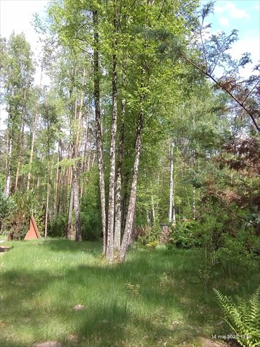 działka na sprzedaż 1517m2 działka Zofiówka, Cienista