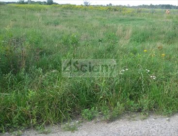 Działka budowlana w Duchnowie, 5183 m², WZ na 3 domy. działka Duchnów