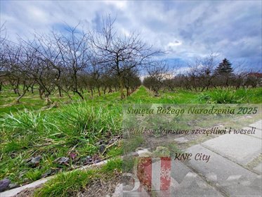 działka na sprzedaż 3000m2 działka Motycz