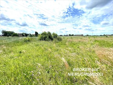 Działka pod zabudowę 2551 m² w Lubczynie – media w zasięgu działka Lubczyno