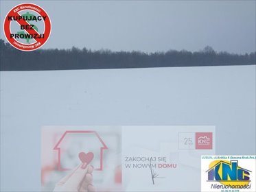 działka na sprzedaż 3000m2 działka Krzczonów-Wójtowstwo