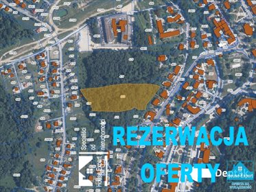 działka na sprzedaż 15848m2 działka Krynica-Zdrój