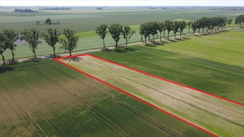 działka na sprzedaż 6500m2 działka Zwanowice