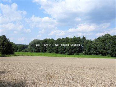 działka na sprzedaż 12238m2 działka Piotrowice