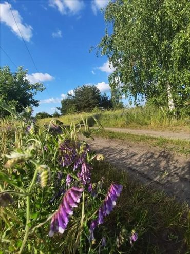 Działka budowlana na sprzedaż Biały Bór 1 300m2 Foto 3