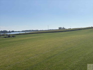 działka na sprzedaż 49300m2 działka Piersko, Jarzębinowa