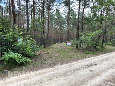 działka na sprzedaż 6379m2 działka Rynia, Ignacego Paderewskiego
