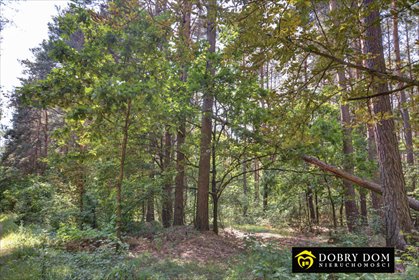 działka na sprzedaż 5000m2 działka Siemiatycze