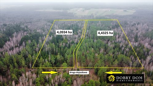 Działka leśna 8,5 ha blisko jeziora - polecam działka Tajenko