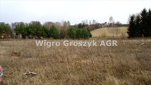 Działka inna na sprzedaż Korfowe 3 750m2 Foto 2