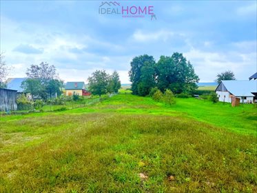 Działka budowlana na sprzedaż Dąbrowica 3 500m2 Foto 2