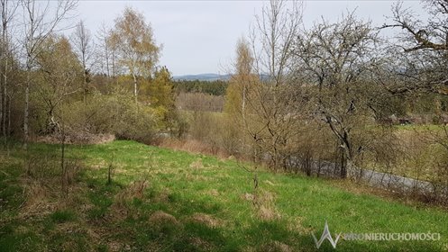 działka na sprzedaż 8622m2 działka Chocieszów
