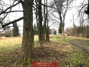 Polecam działkę 1070 m² z dostępem do mediów w Łężycach działka Łężyce