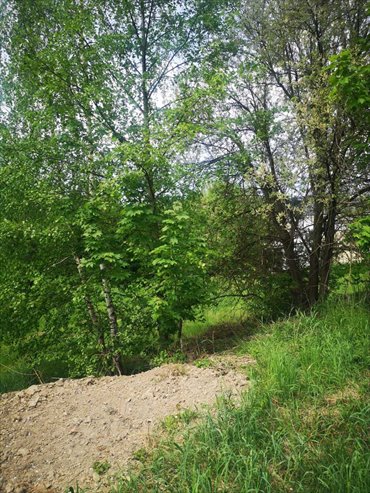 działka na sprzedaż 2063m2 działka Kudowa-Zdrój