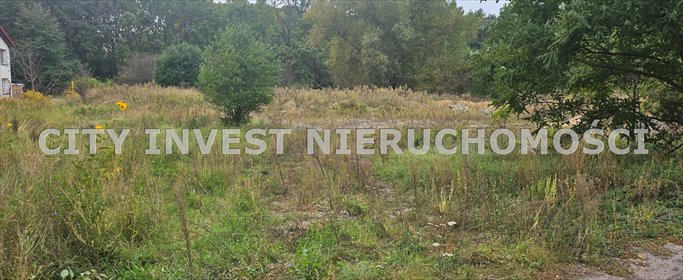 działka na sprzedaż 8100m2 działka Zielona Góra, os. Na Olimpie