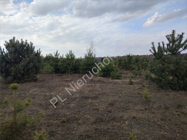 działka na sprzedaż 1254m2 działka Krzyżówka