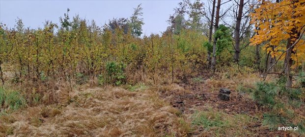 działka na sprzedaż 1363m2 działka Kupientyn