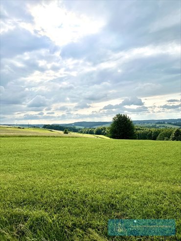 działka na sprzedaż 5600m2 działka Iwierzyce