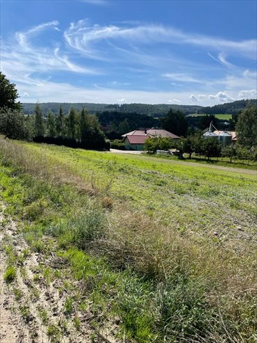 działka na sprzedaż 1500m2 działka Witoszów Dolny