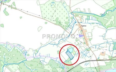 Działka rolna 5,08 ha z wodą, lasem i dojazdem działka Ognica
